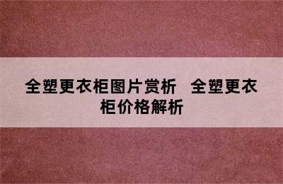 全塑更衣柜图片赏析   全塑更衣柜价格解析